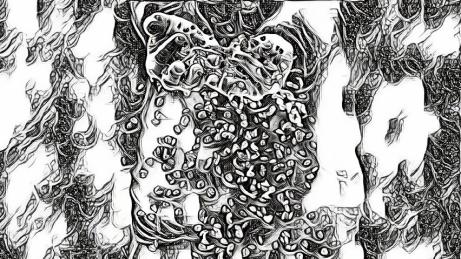 154394781759216217 (4)