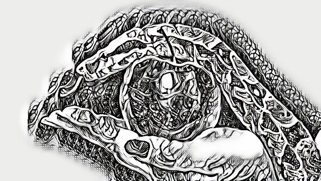 154394781759216217 (6)